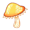 Sunshroom