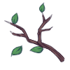 Fresh Branch