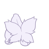 Butterfly Tail