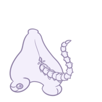 Skeletal Tail